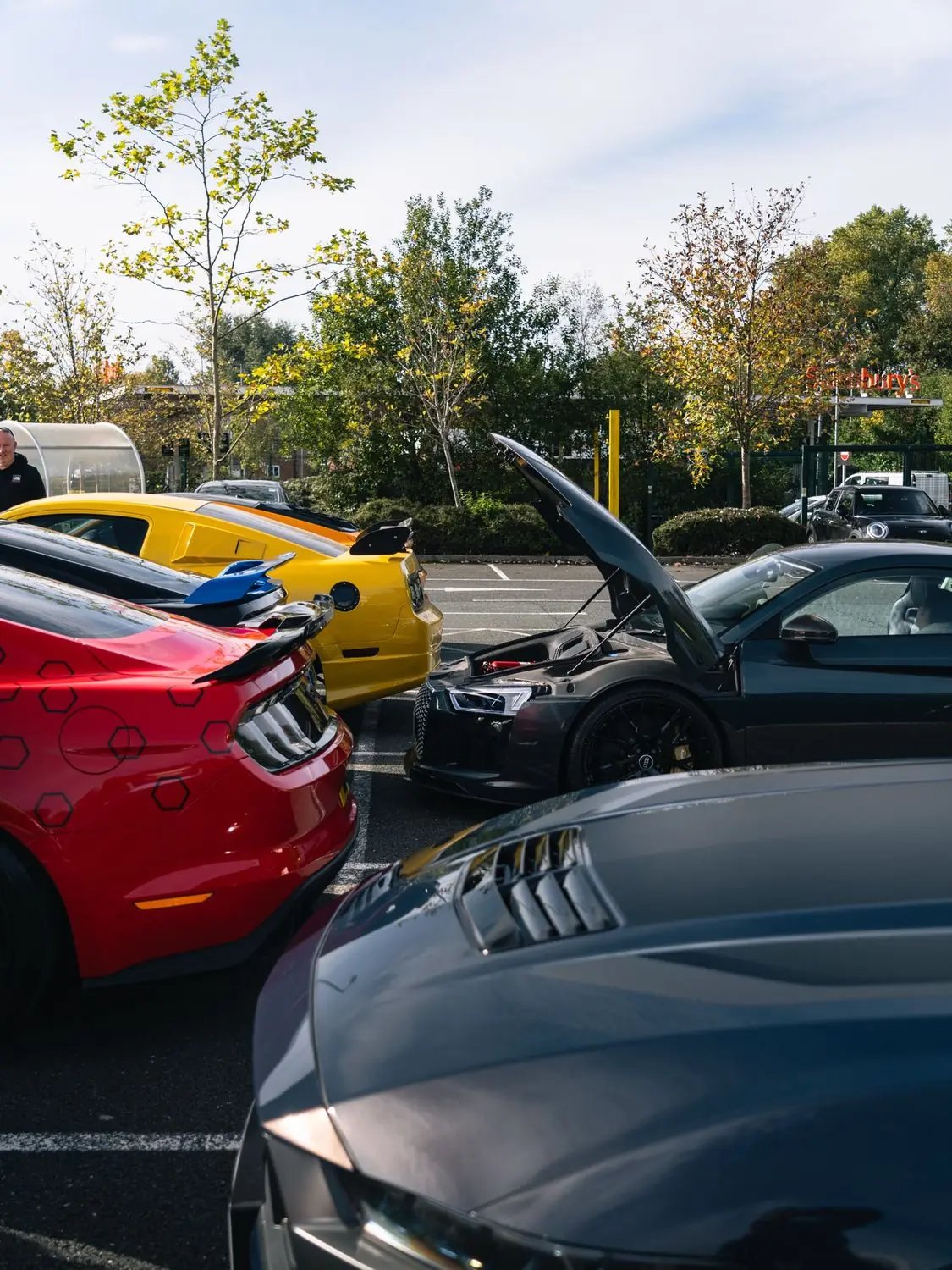 Cars lined up in the sun